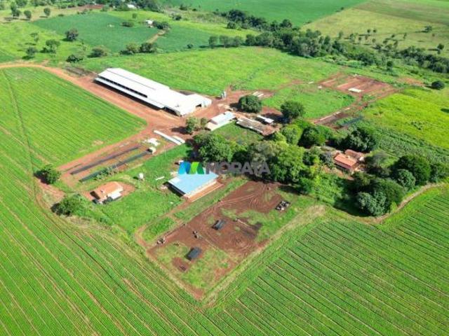 Sítio e chácara venda em Região Geográfica Imediata de Dores do Indaiá, Bom despacho