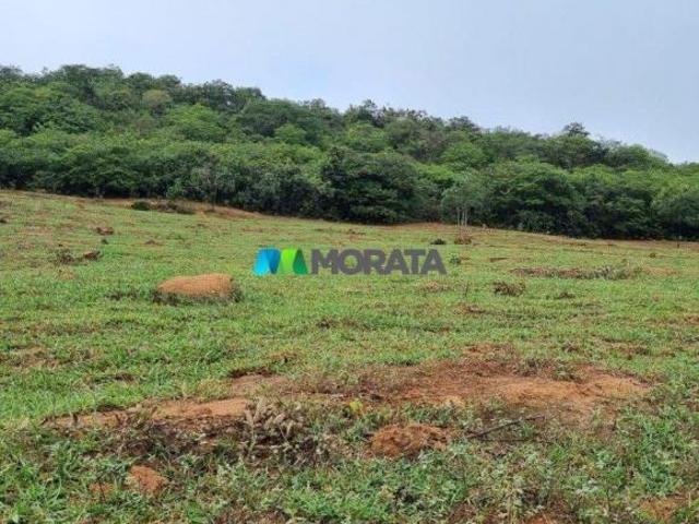 Sítio e chácara venda em Região Geográfica Imediata de Dores do Indaiá, Bom despacho