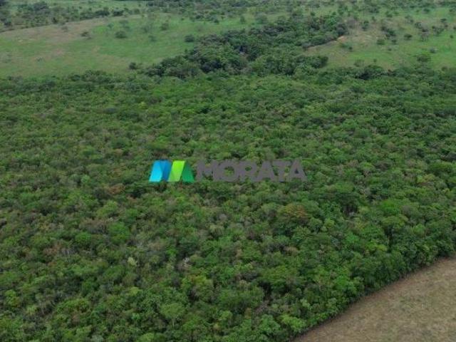 Sítio e chácara venda em Região Geográfica Imediata de Dores do Indaiá, Bom despacho
