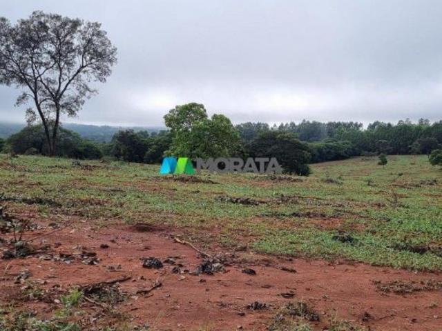 Sítio e chácara venda em Região Geográfica Imediata de Dores do Indaiá, Bom despacho