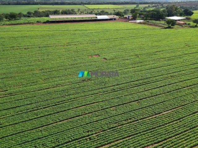 Sítio e chácara venda em Região Geográfica Imediata de Dores do Indaiá, Bom despacho