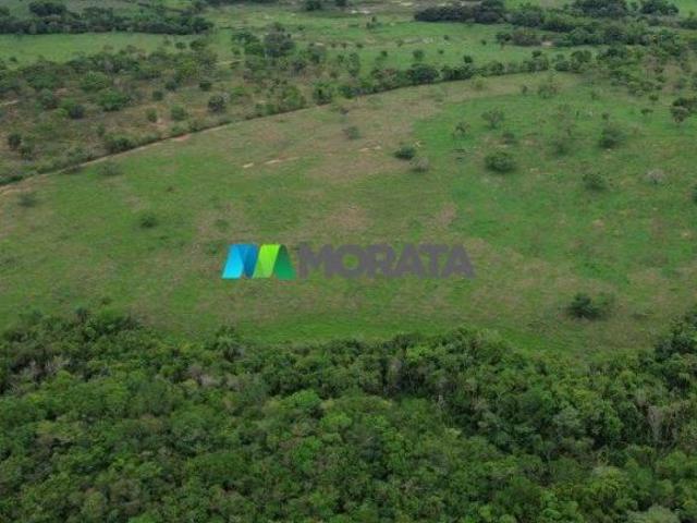Sítio e chácara venda em Região Geográfica Imediata de Dores do Indaiá, Bom despacho