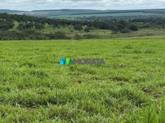 Sítio e chácara venda em Região Geográfica Imediata de Dores do Indaiá, Bom despacho