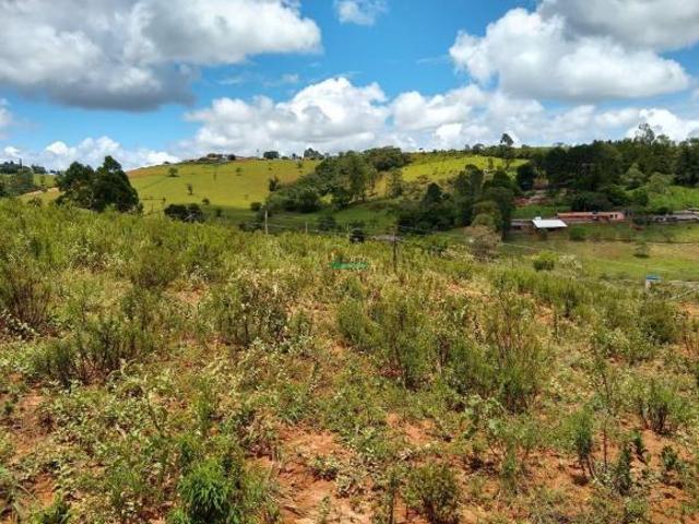Sítio e chácara venda em Região Geográfica Imediata de Conselheiro Lafaiete, Conselheiro Lafaiete