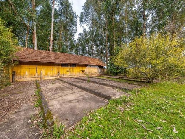 Sítio e chácara venda em Região Geográfica Imediata de Curitiba, Região Metropolitana de Curitiba