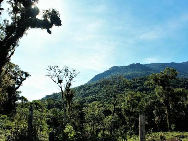 Sítio e chácara venda em Região Geográfica Imediata de Curitiba, Região Metropolitana de Curitiba