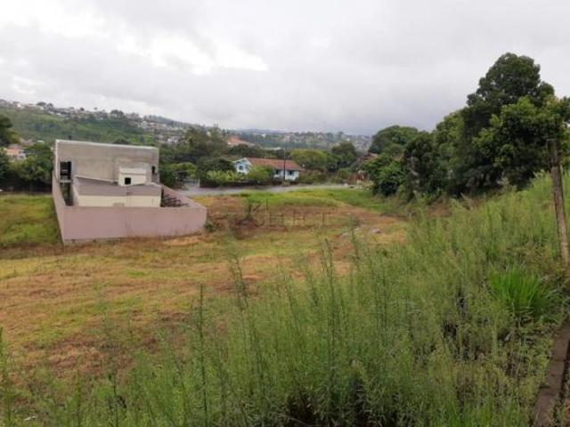 Terreno venda em Região Geográfica Imediata de Novo Hamburgo - São Leopoldo, Região Metropolitana de Porto Alegre