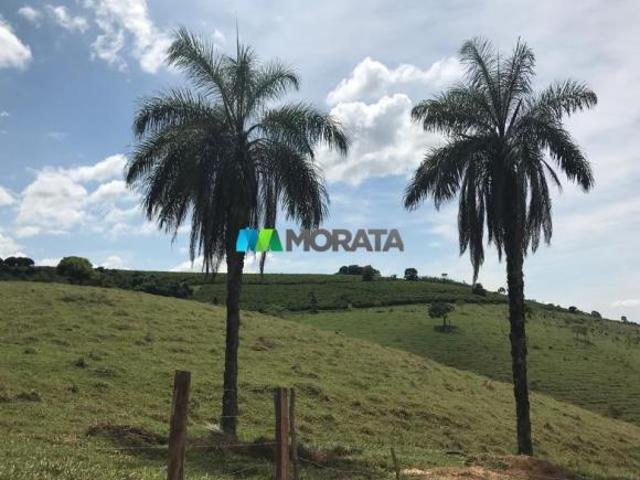 Sítio e chácara venda em Região Geográfica Imediata de Araxá, Campos Altos