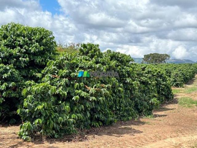 Sítio e chácara venda em Região Geográfica Imediata de Araxá, Campos Altos