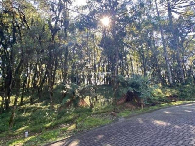 Terreno venda em Canela, Região Geográfica Intermediária de Caxias do Sul