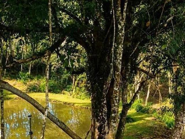 Sítio e chácara venda em Região Geográfica Imediata de Caxias do Sul, Canela