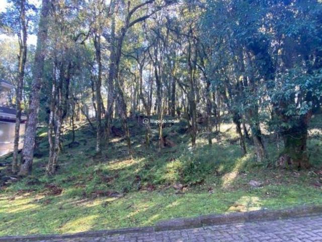 Terreno venda em Região Geográfica Imediata de Caxias do Sul, Canela