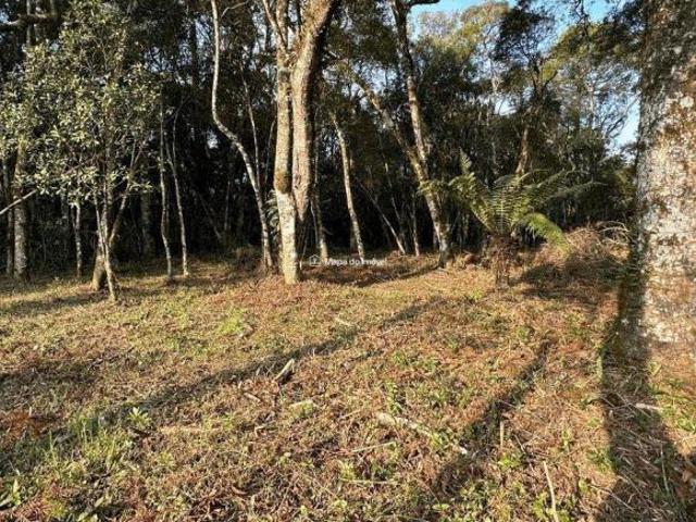 Terreno venda em Canela