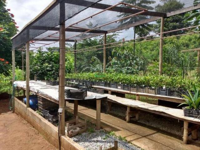 Sítio e chácara venda em Região Geográfica Imediata de Oliveira, Carmópolis de Minas