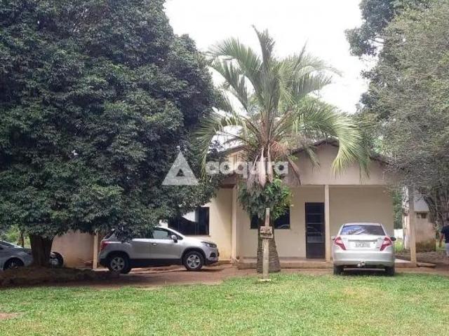 Sítio e chácara venda em Região Geográfica Imediata de Cascavel, Catanduvas