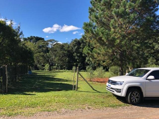 Sítio e chácara venda em Região Geográfica Imediata de Caxias do Sul, Caxias do Sul
