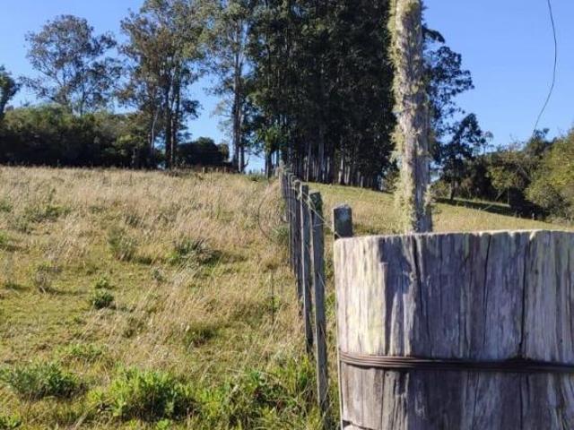 Sítio e chácara venda em Região Geográfica Imediata de Pelotas, Cerrito