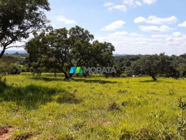 Sítio e chácara venda em Região Geográfica Imediata de Divinópolis, Cláudio
