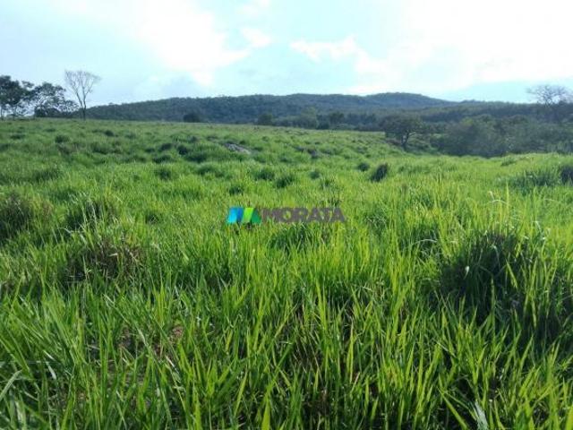Sítio e chácara venda em Região Geográfica Imediata de Divinópolis, Cláudio
