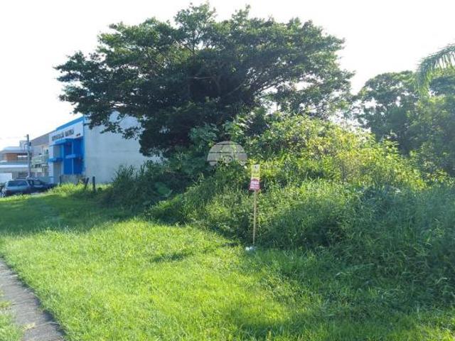 Terreno venda em Cohapar, Guaratuba