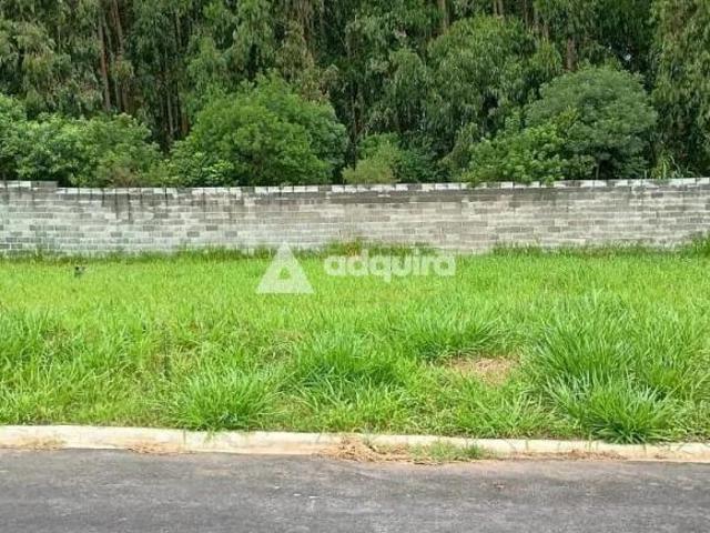 Terreno venda em Região Geográfica Imediata de Ponta Grossa, Ponta Grossa