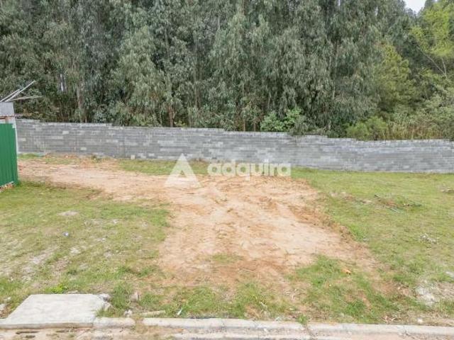 Terreno venda em Região Geográfica Imediata de Ponta Grossa, Ponta Grossa