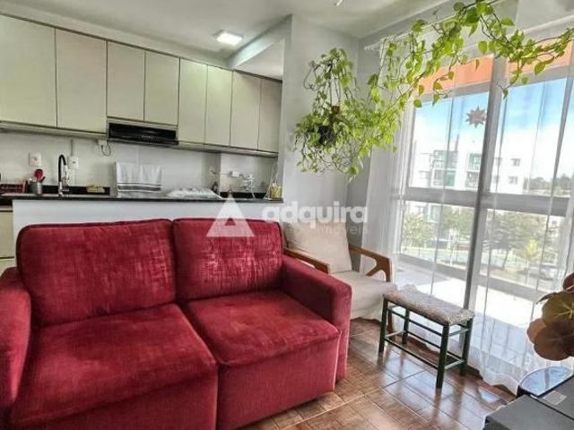 Apartamento venda em Colônia Dona Luiza, Ponta Grossa