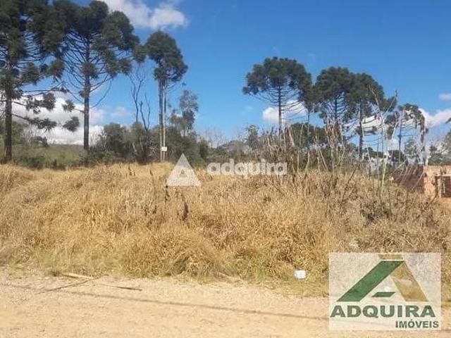 Terreno venda em Colônia Dona Luiza, Ponta Grossa