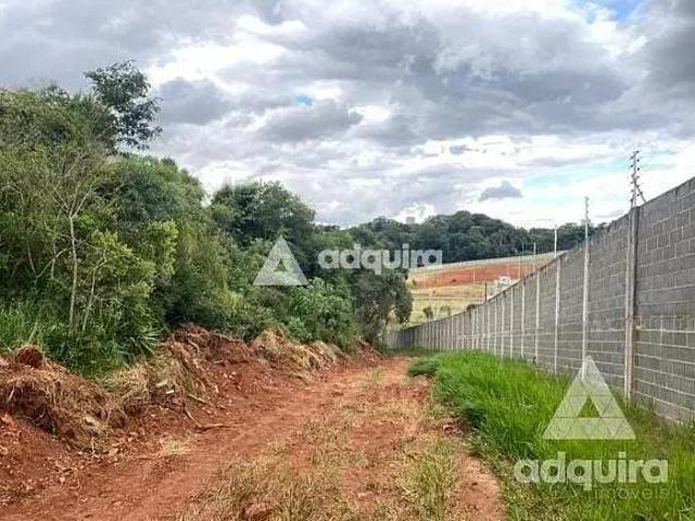 Terreno venda em Oficinas, Ponta Grossa