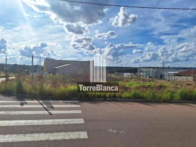 Terreno venda em Região Geográfica Imediata de Ponta Grossa, Ponta Grossa