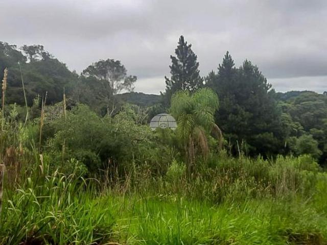 Terreno venda em Região Geográfica Imediata de Curitiba, Região Metropolitana de Curitiba