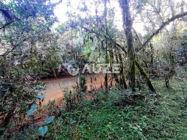 Sítio e chácara venda em Região Geográfica Imediata de Curitiba, Região Metropolitana de Curitiba