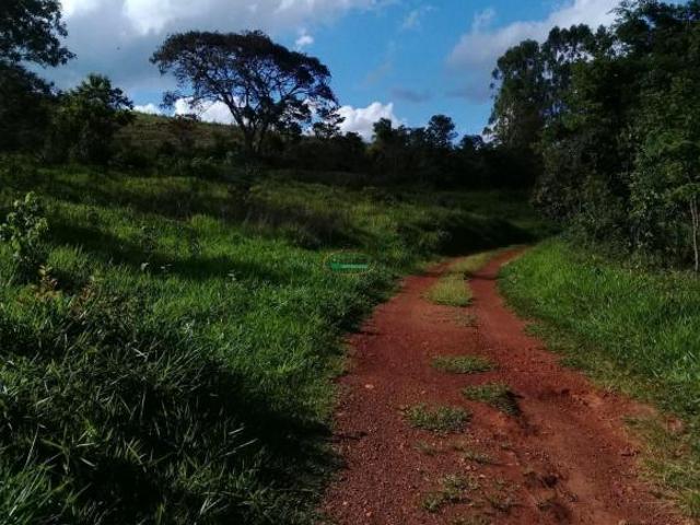 Sítio e chácara venda em Região Geográfica Imediata de Conselheiro Lafaiete, Congonhas