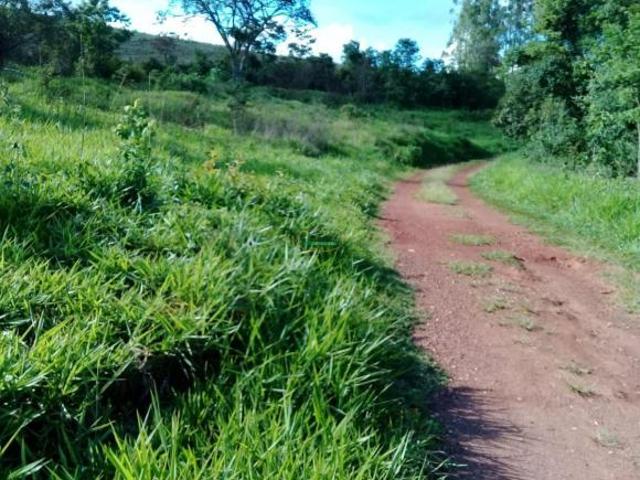 Sítio e chácara venda em Região Geográfica Imediata de Conselheiro Lafaiete, Congonhas