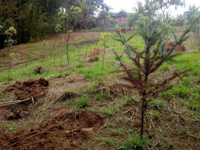 Sítio e chácara venda em Região Geográfica Imediata de Conselheiro Lafaiete, Congonhas