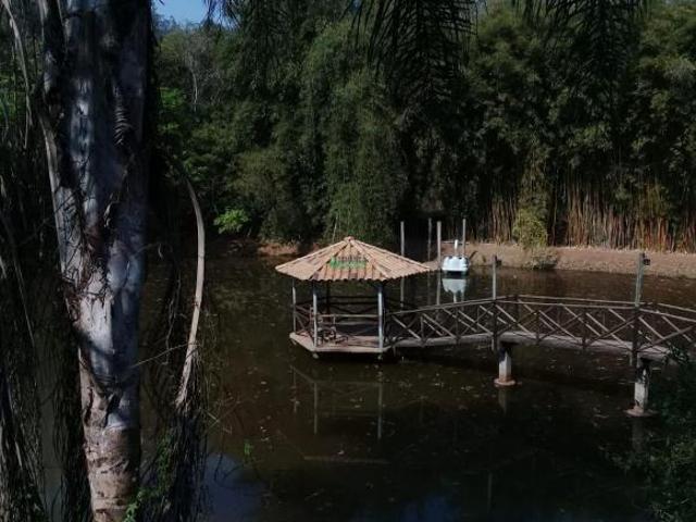 Sítio e chácara venda em Região Geográfica Imediata de Conselheiro Lafaiete, Congonhas