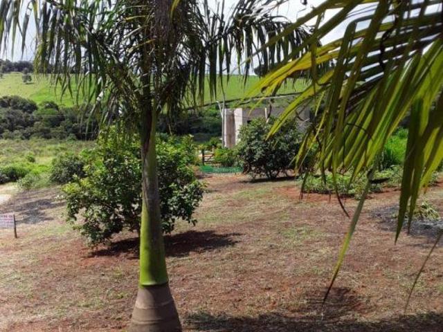Sítio e chácara venda em Região Geográfica Imediata de Conselheiro Lafaiete, Conselheiro Lafaiete