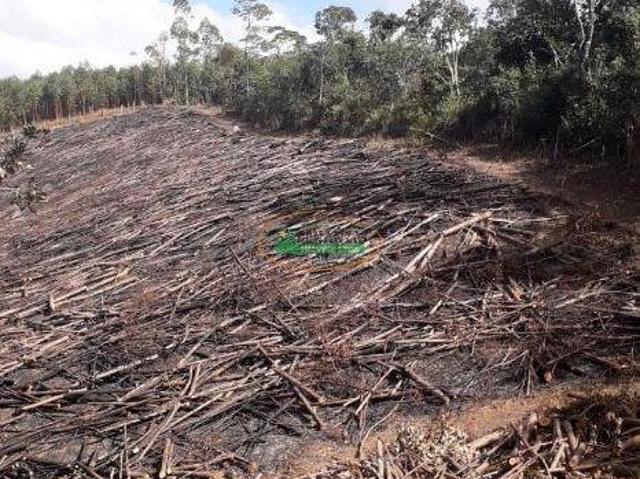 Terreno venda em Região Geográfica Imediata de Conselheiro Lafaiete, Conselheiro Lafaiete