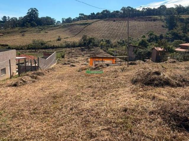 Sítio e chácara venda em Região Geográfica Imediata de Conselheiro Lafaiete, Conselheiro Lafaiete