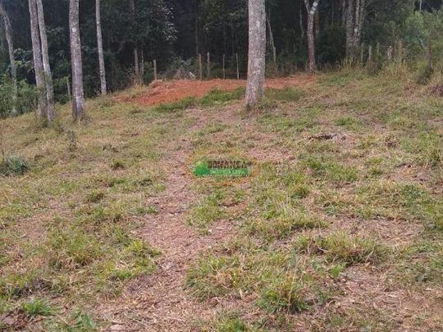 Sítio e chácara venda em Região Geográfica Imediata de Conselheiro Lafaiete, Conselheiro Lafaiete