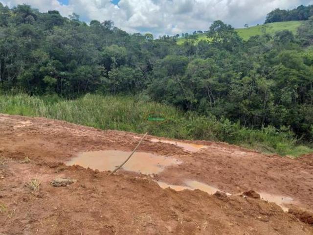 Sítio e chácara venda em Região Geográfica Imediata de Conselheiro Lafaiete, Conselheiro Lafaiete