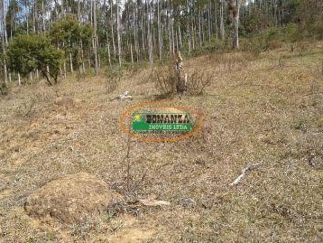 Terreno venda em Região Geográfica Imediata de Conselheiro Lafaiete, Conselheiro Lafaiete