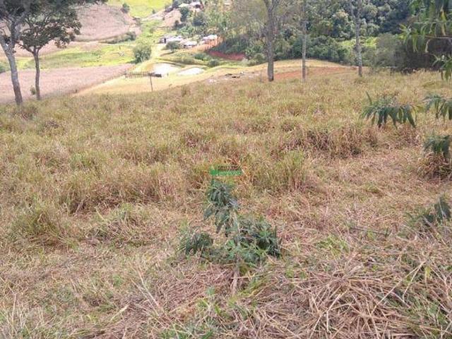 Sítio e chácara venda em Região Geográfica Imediata de Conselheiro Lafaiete, Conselheiro Lafaiete