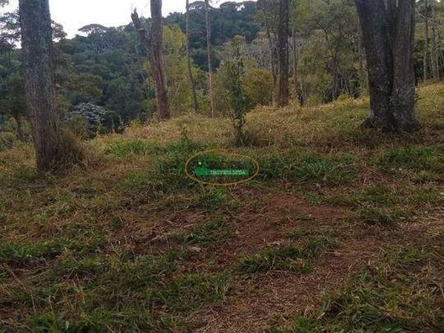 Sítio e chácara venda em Região Geográfica Imediata de Conselheiro Lafaiete, Conselheiro Lafaiete