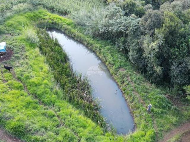 Sítio e chácara venda em Região Geográfica Imediata de Pato Branco, Coronel Vivida