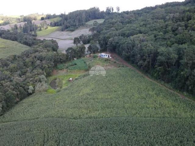 Sítio e chácara venda em Região Geográfica Imediata de Pato Branco, Coronel Vivida