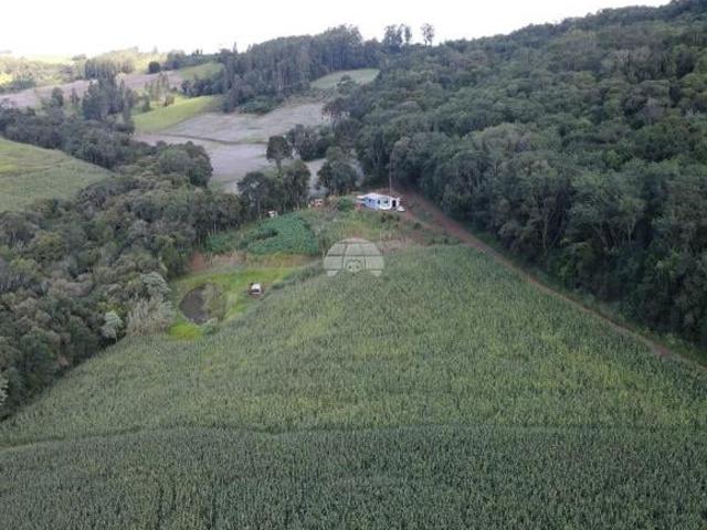Sítio e chácara venda em Região Geográfica Imediata de Pato Branco, Coronel Vivida