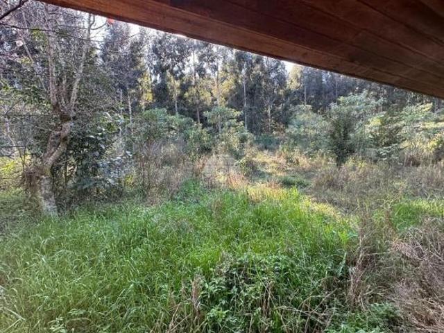 Terreno venda em Região Geográfica Imediata de Pato Branco, Coronel Vivida
