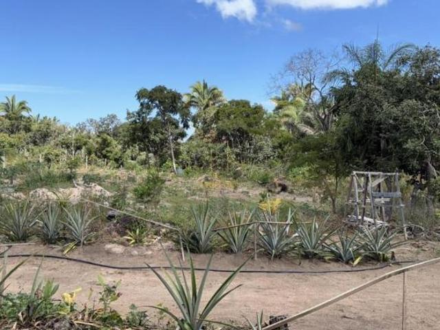 Sítio e chácara venda em Região Geográfica Imediata de Cuiabá, Região Metropolitana do Vale do Rio Cuiabá