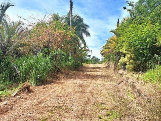Terreno venda em Região Imediata de Campinas, Região Metropolitana de Campinas